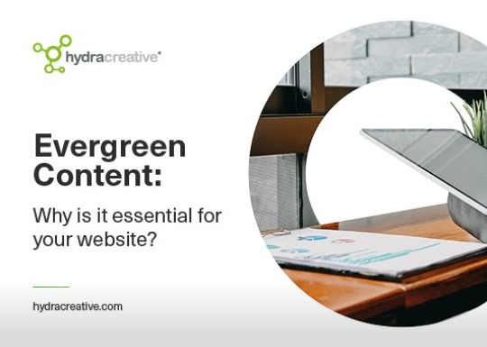 evergreen content: why use it? main thumb image