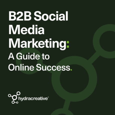 Hydra Insight - B2B Social Media Marketing: A Guide to Online Success
