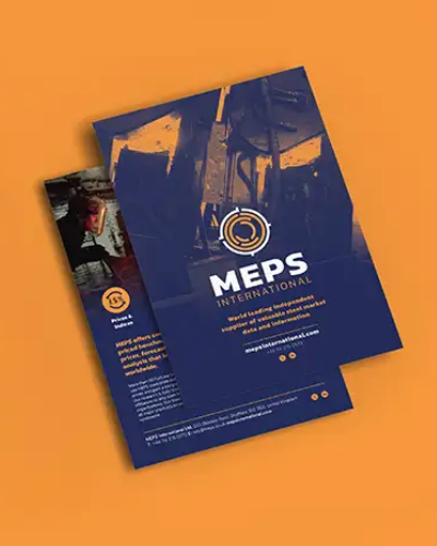 MEPS Flyer