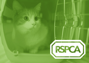 rspca supporting image